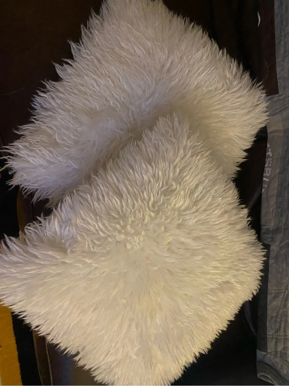 Plush Faux Fur Accent Pillow - White